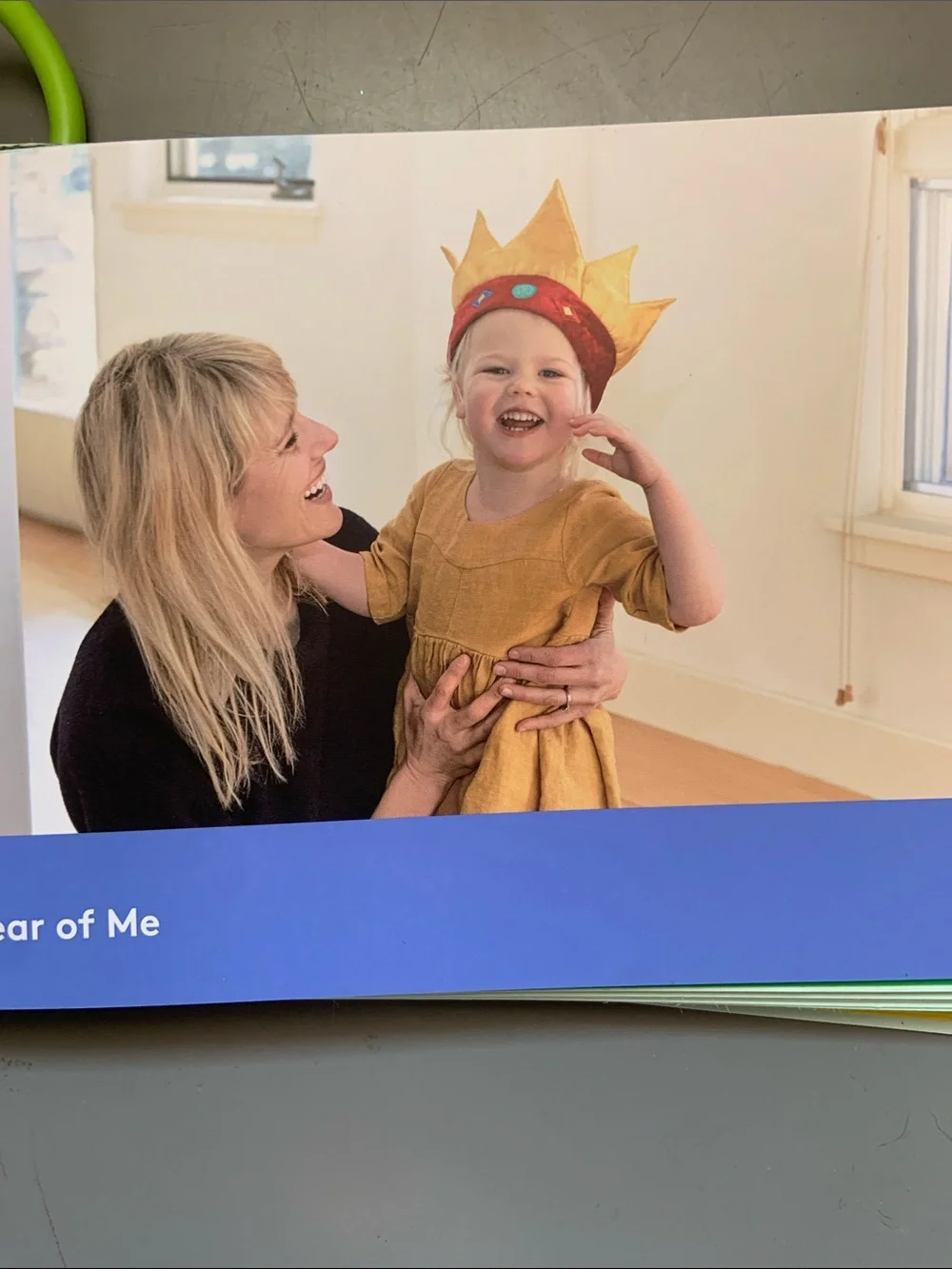 Lovevery Teal Observer Play Guide — Development Cards for Toddlers
